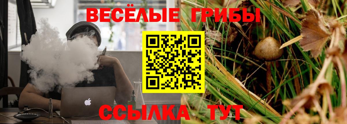 Галлюциногенные грибы Cubensis  Вход с VPN  Отрадный  Псилоцибиновые грибы Psilocybine cubensis 